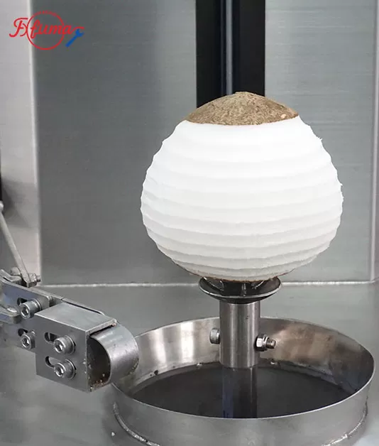 coconut processing machine