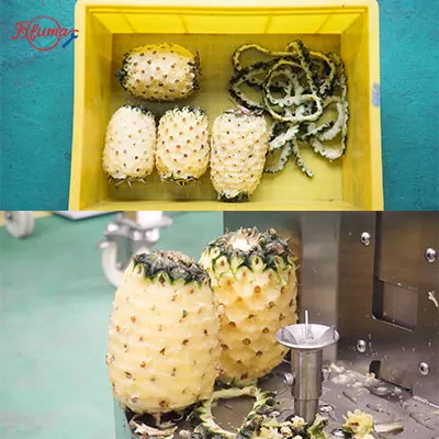 pineapple peeling machine hot sale in Malaysia