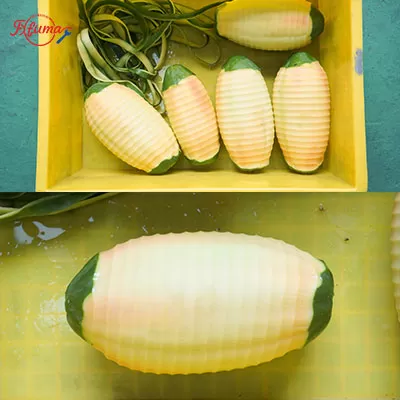 Desktop fruit and vegetable peeler peeling pineapple, coconut, mango, and papaya