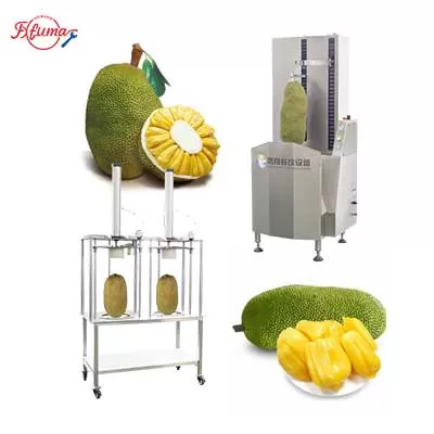 Jackfruit Peeling Machine and Pneumatic Separating & Coring Machine Line