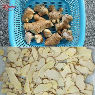 2-in-1 Fruit and Vegetable Slicer Grater Carrot Potato Papaya Slicing and Shredding Machine