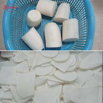 2-in-1 Fruit and Vegetable Slicer Grater Carrot Potato Papaya Slicing and Shredding Machine