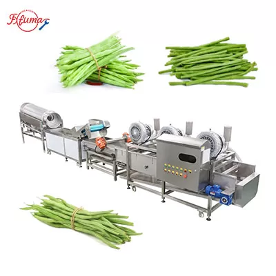 Fresh Green Beans Pre-Cutting and Pre-Cleaning Production Machine