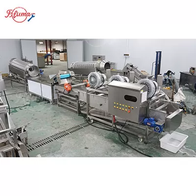 green-bean-cutting-washing-drying-line-automatic-trimming-bubble-cleaning-dewatering-air-knife-drying.jpg