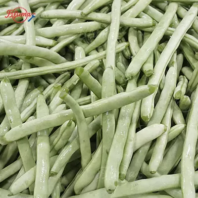 green-bean-cutting-washing-drying-line-automatic-trimming-bubble-cleaning-dewatering-air-knife-drying.jpg