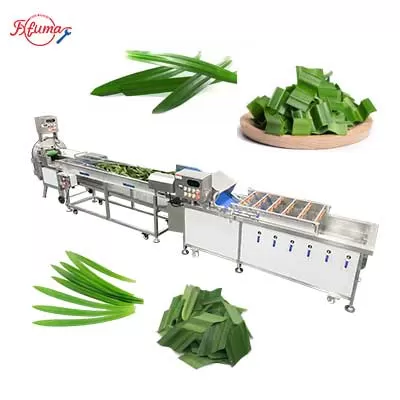 Pandan Leaf Sorting, Bubble Washing and Cutting Machine