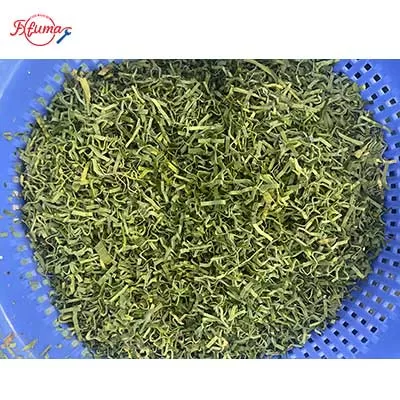 Pandan Leaf Bubble Washing and Cutting Machine