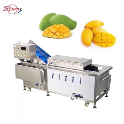 industrial mango hot water treatment