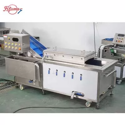 bulk mango blanching machine