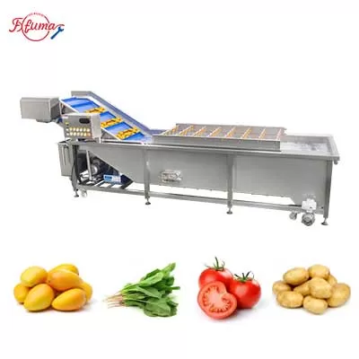 bubble washing machine for fruit and vegetable