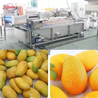 mango high pressure spray washing machine