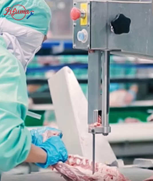 How to Choose the Right Meat Cutting Machine | Meat Dicer, Slicer, Shredder & Bone Cutter Guide How to Choose the Right Meat Cutting Machine | Meat Dicer, Slicer, Shredder & Bone Cutter Guide