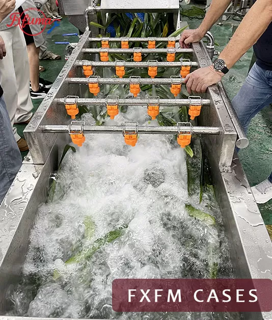 vegetable spray washing machine