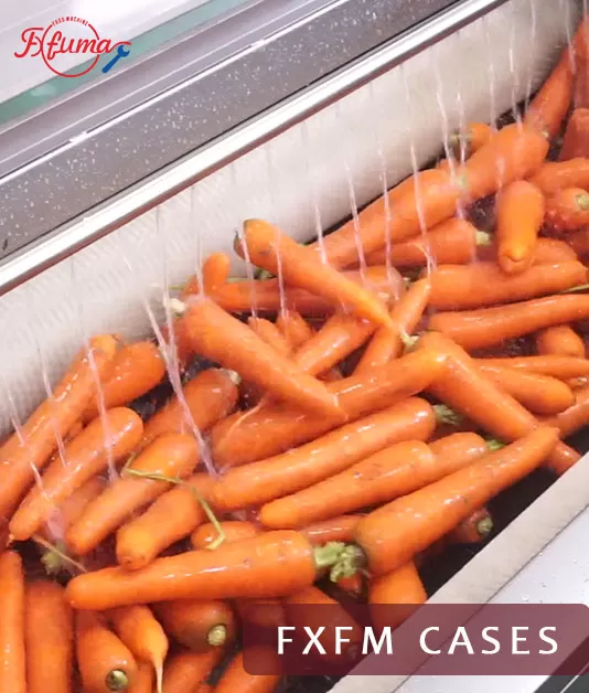 carrot washing machine