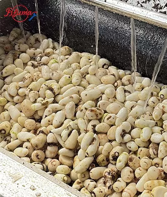 brush and sand roller washing and peeling machine