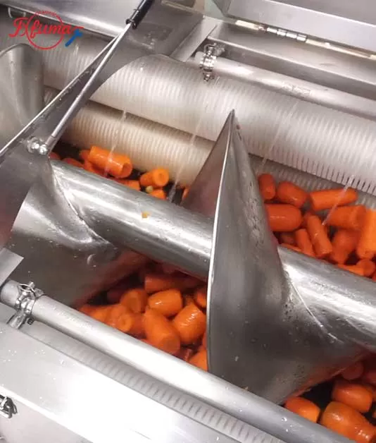 brush and sand roller washing and peeling machine