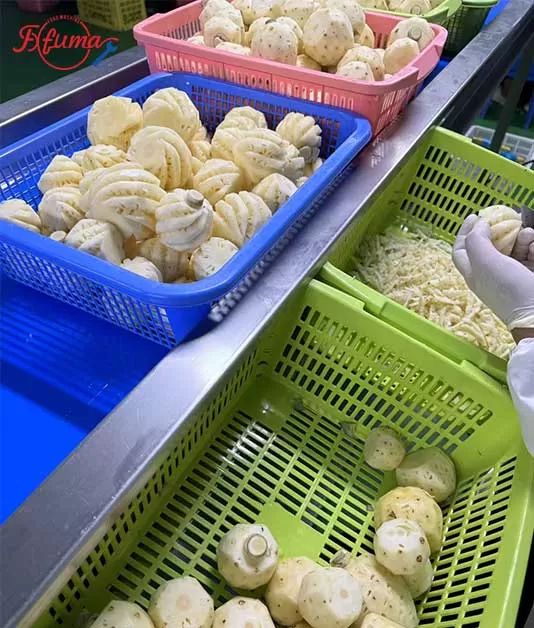 Thailand Fruit Processing Line Installation & After-Sales Service Case | Mini Pineapple, Jackfruit & Passion Fruit Lines Successfully Commissioned