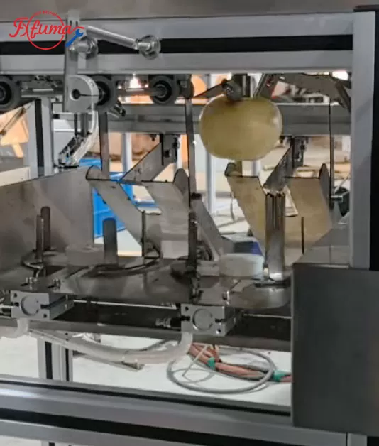 3-in-1 Multifunctional Fruit Peeler, Corer, Halver and Slicer | Product Introduction, User Manual & Maintenance Guide