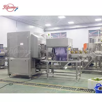 3-in-1 Automatic Pineapple Peeling, Eye Removing and Ends Cutting Machine