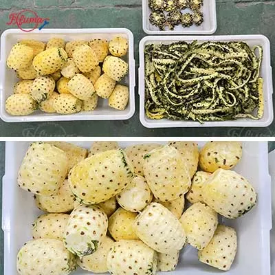 3-in-1 Automatic Pineapple Peeling, Eye Removing and Ends Cutting Machine