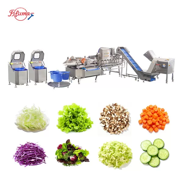 Vegetable Processing Line - Cabbage Cutting, Washing and Spin Drying Machine