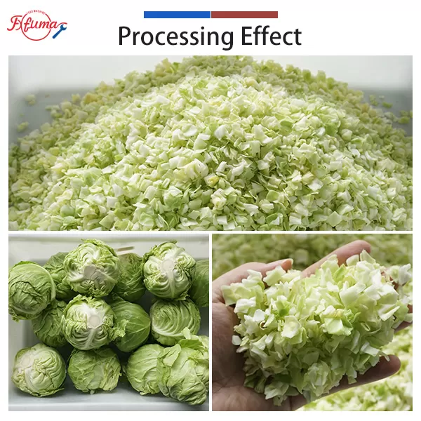 Vegetable Processing Line - Cabbage Cutting, Washing and Spin Drying Machine