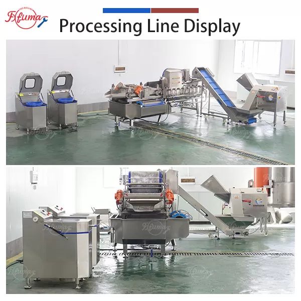 Vegetable Processing Line - Cabbage Cutting, Washing and Spin Drying Machine