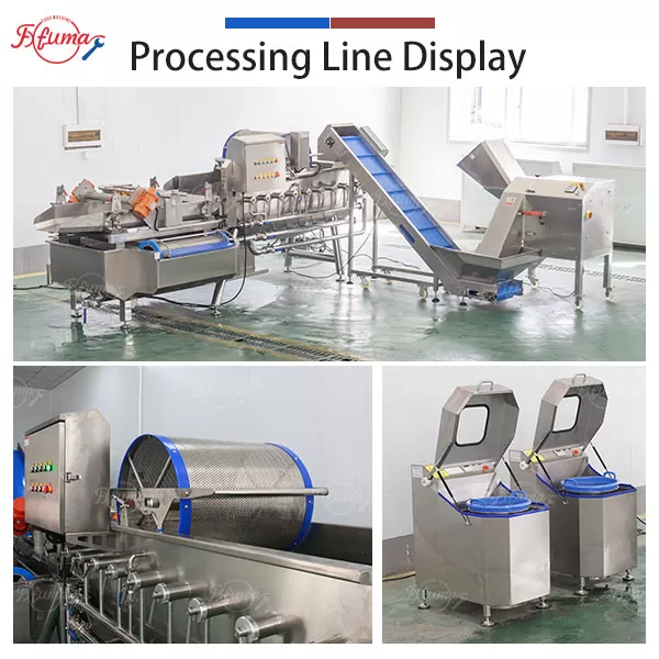 Vegetable Processing Line - Cabbage Cutting, Washing and Spin Drying Machine