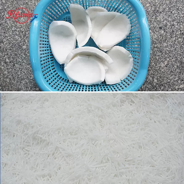 Stainless Steel Coconut Shredder Machine