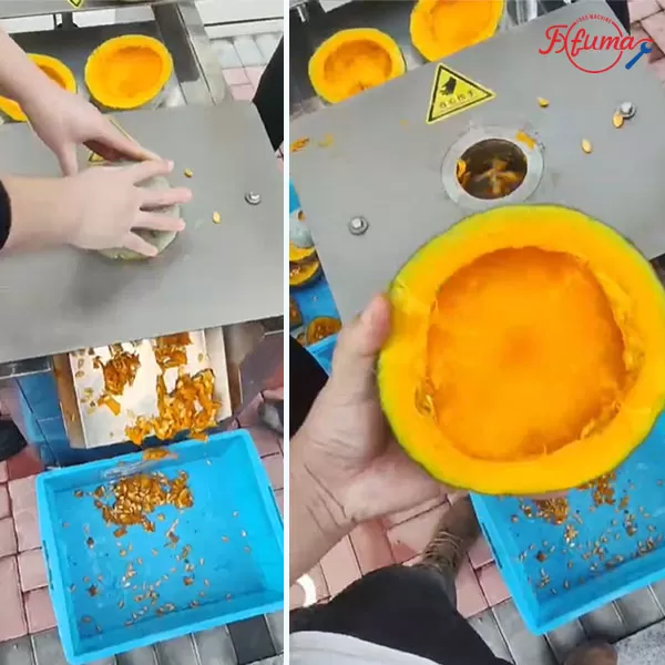 Pumpkin Coring Machine