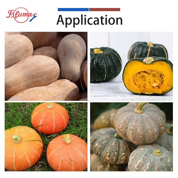 Pumpkin Coring Machine