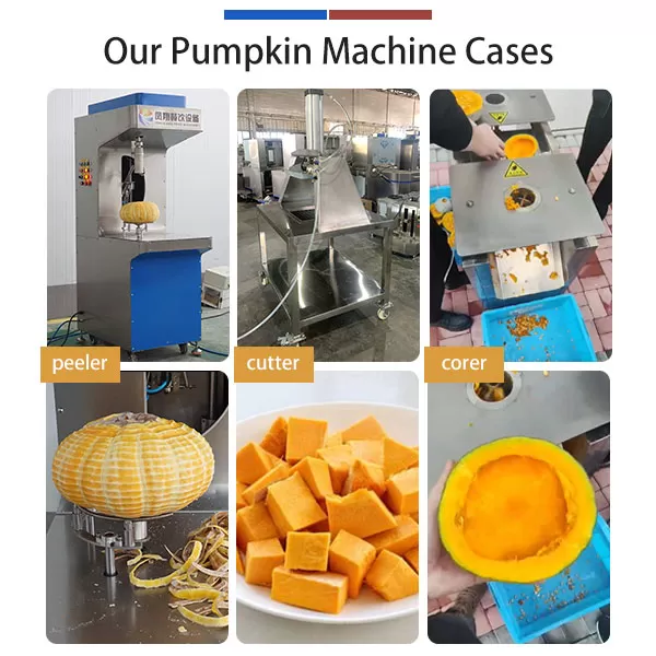 Pumpkin Coring Machine