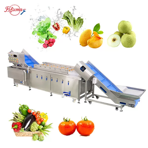High Pressure Bubble Vegetable & Fruit Washing Machine with Elevator