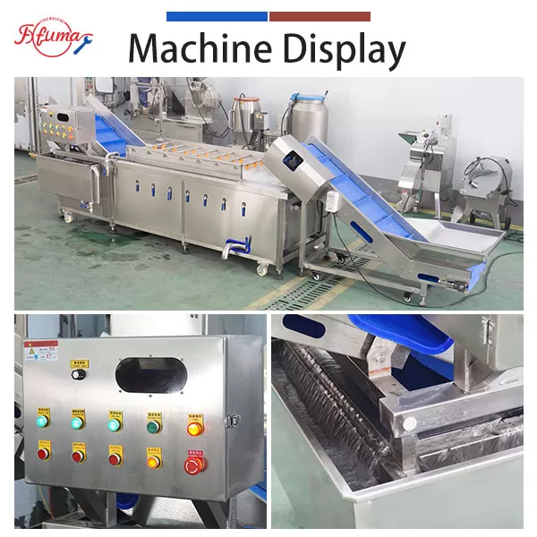 High Pressure Bubble Vegetable & Fruit Washing Machine with Elevator
