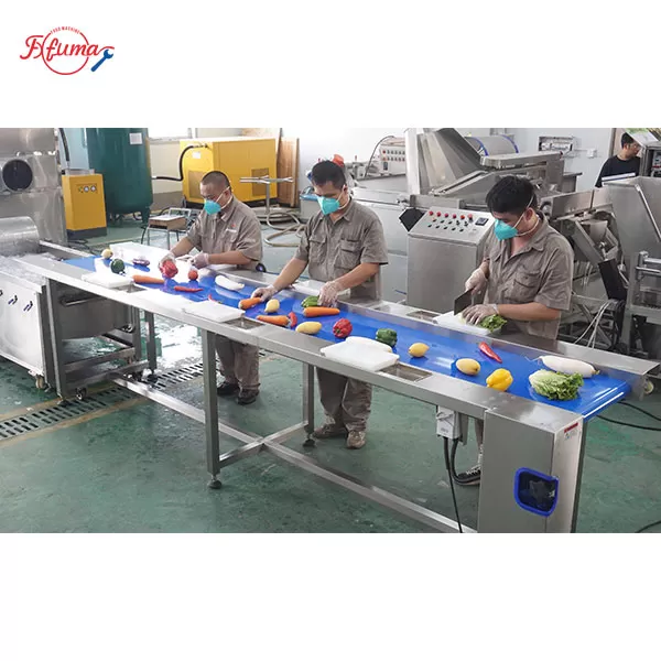 Manual Sorting Table for Food Processing | Custom Size & Lighting Available