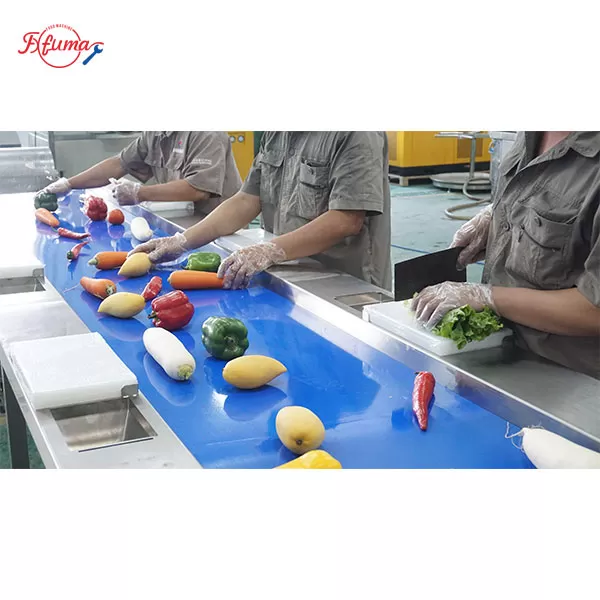 Manual Sorting Table for Food Processing | Custom Size & Lighting Available