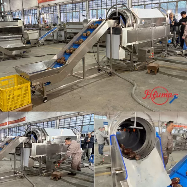 Barrel Washer for Vegetable Processing