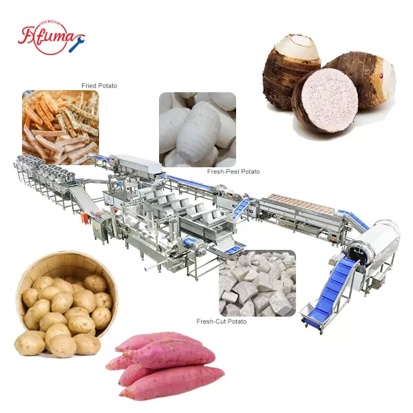 3-line-in-1 Taro Processing Line | Taro Washing Peeling Cutting Frying Freezing