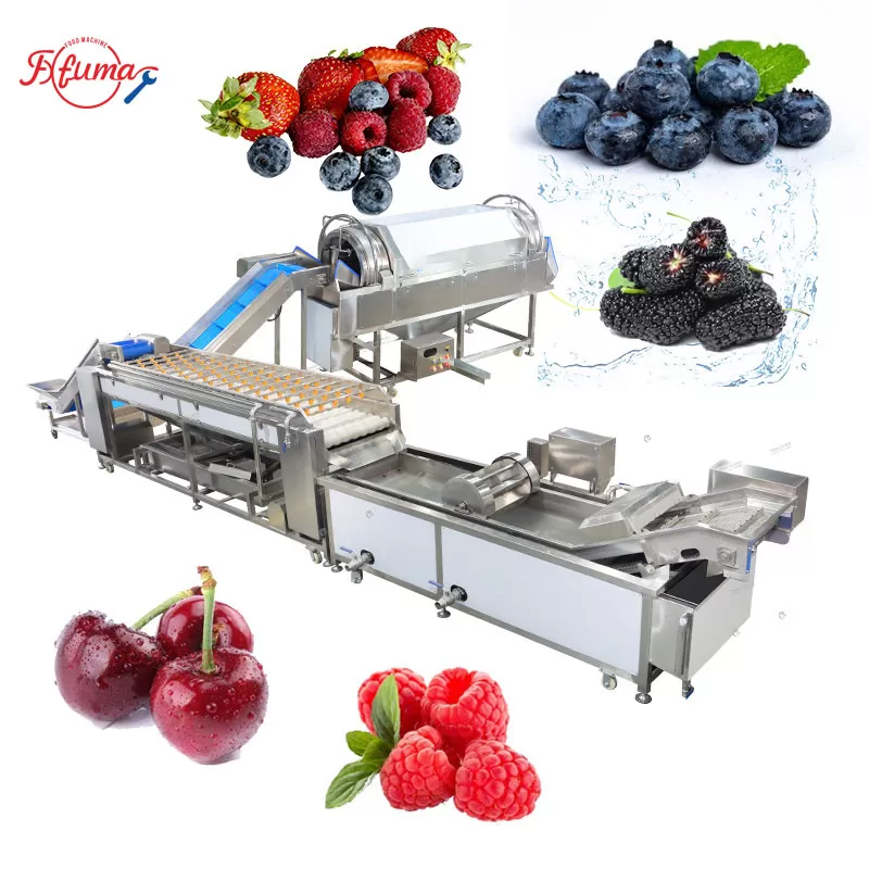 berry washing machine