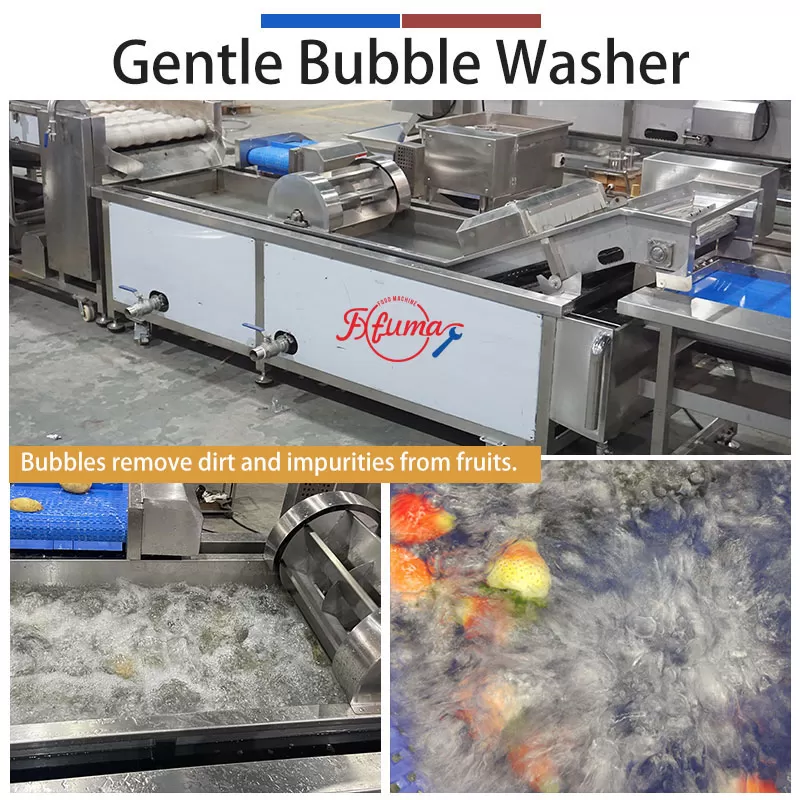 berry bubble washing machine