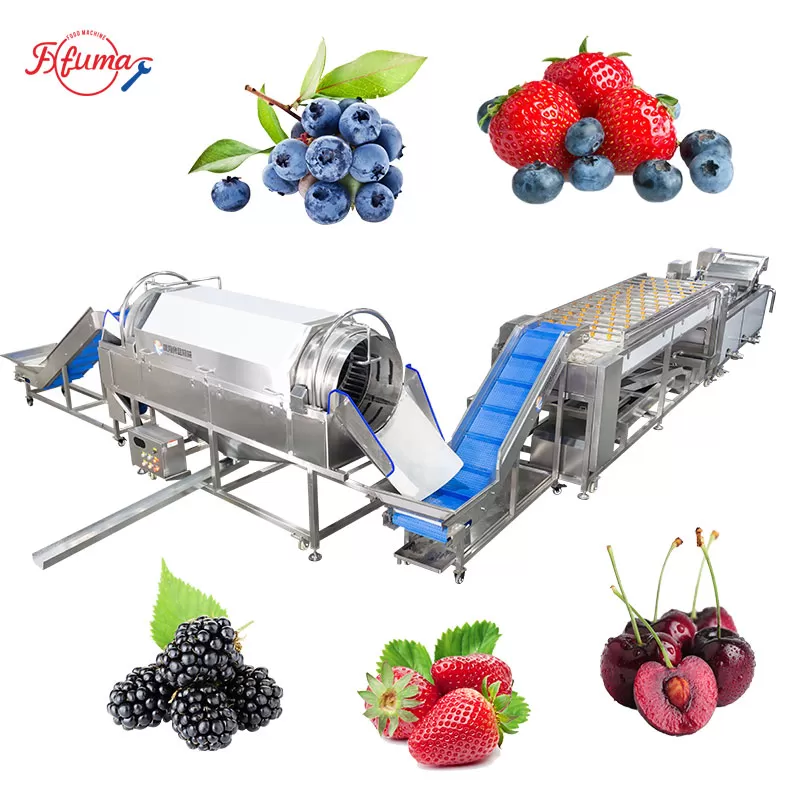 Blueberry Processing Line – Gentle Berry Washing Machine System