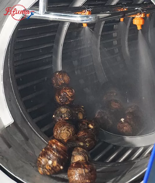 3-in-1 Taro Processing Line | Peeling, Cutting & Fried Taro Strips Solution | China Manufacturer