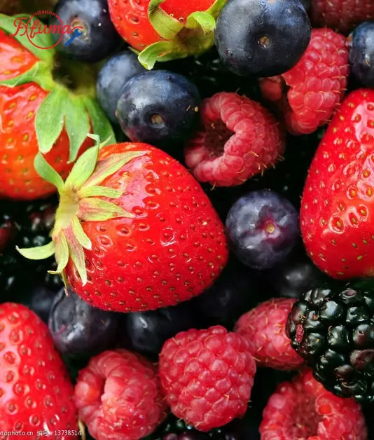 berry washing machine