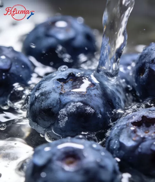 Efficient Berry Washing and Processing Line