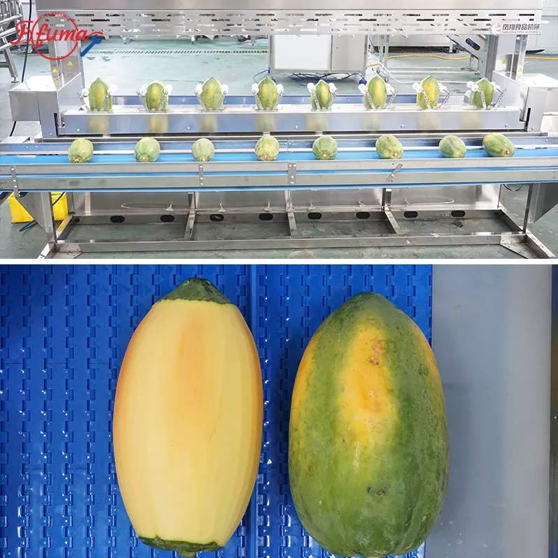 papaya peeling machine