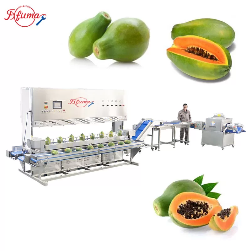 Papaya Processing Line - Peeling and Halving