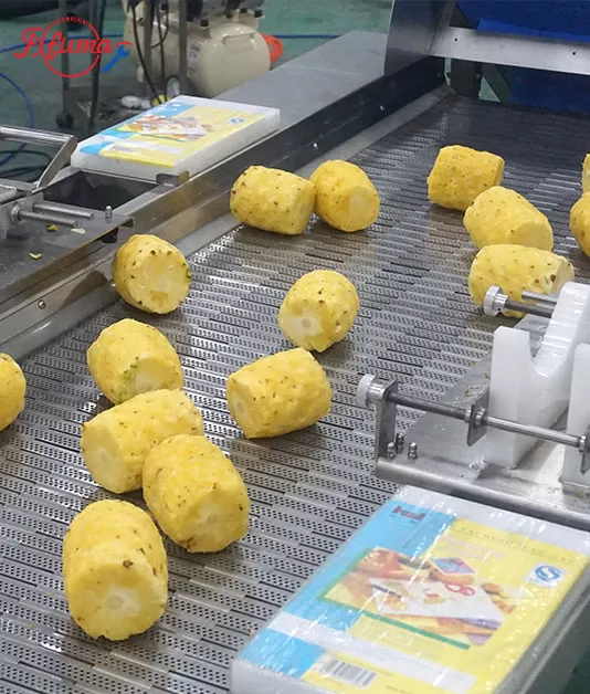 Pineapple Processing Line Solutions from China Supplier