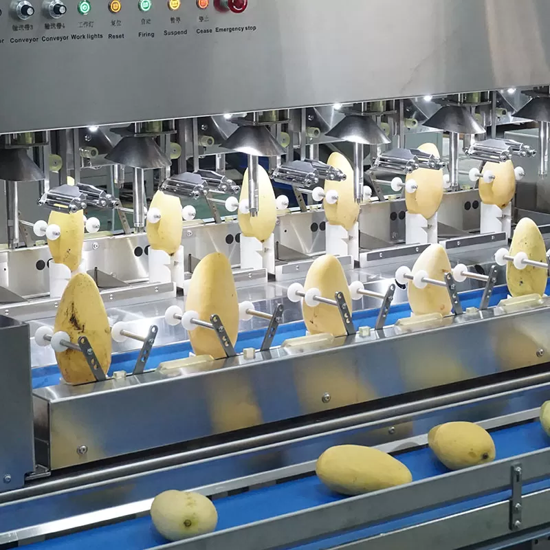 Mango Peeling Machine