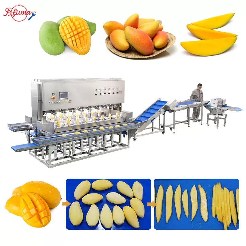 Mango Processing Line