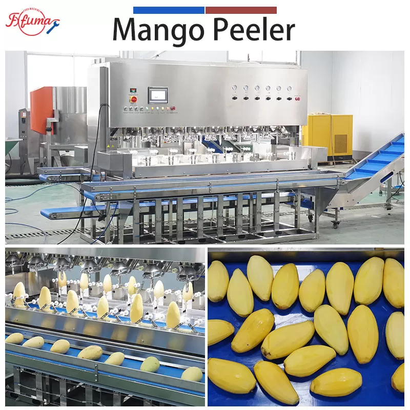 Bulk Mango Processing Line for Mango Slices